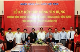 Hơn 2.370 tỷ đồng cho vay phát triển sản xuất nông nghiệp 